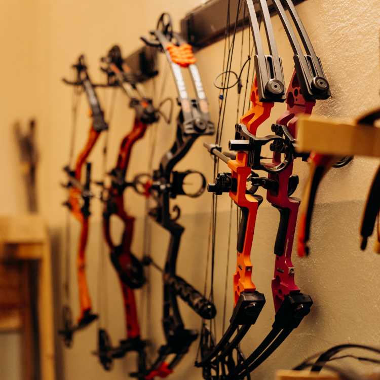 Archery & Bow Hunting