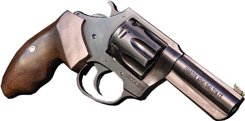 CHARTER ARMS THE PROFESSIONAL