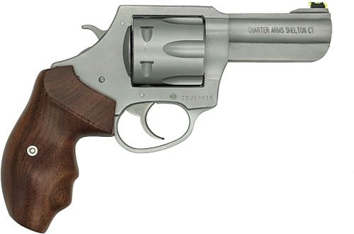 CHARTER ARMS PROFESSIONAL V