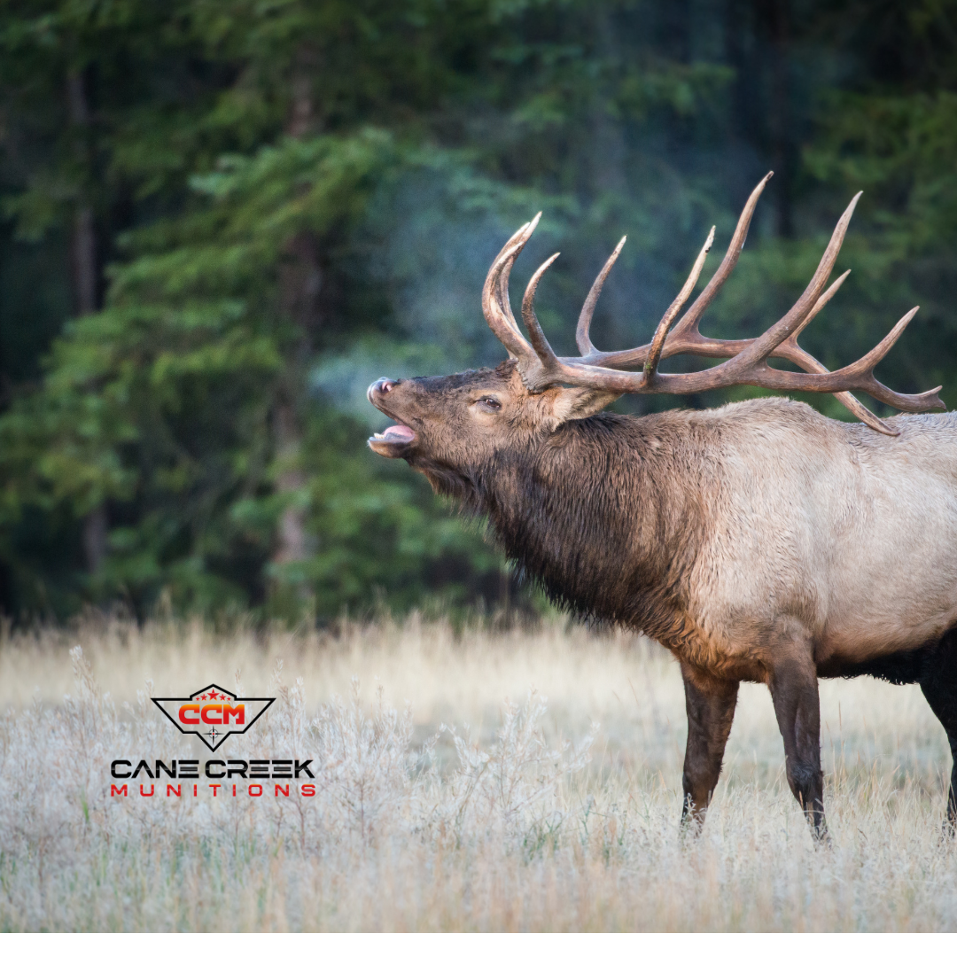 An In-Depth Look at the Advanced Features of the Athlon Ares G2 UHD Spotting Scope 15-45×65