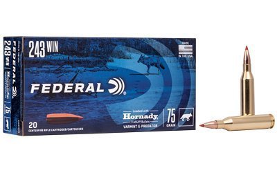 Federal Varmint & Predator .243 Winchester 75-grain V-Max ammunition