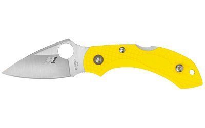 Spyderco Dragonfly 2 Salt folding knife 2.25-inch blade