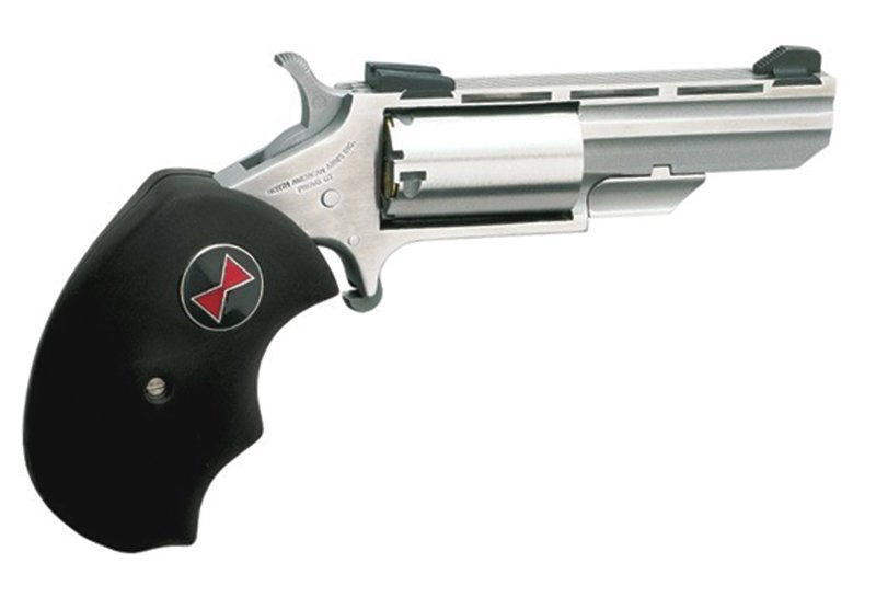 Black Widow Combo 22Mag/22LR 2"VR S FS