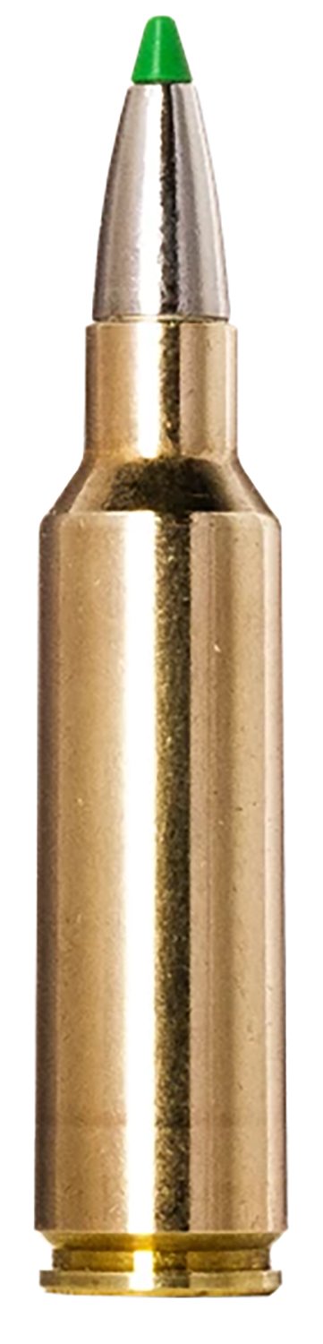 Norma EcoStrike .300 WSM 165-grain lead-free ammunition