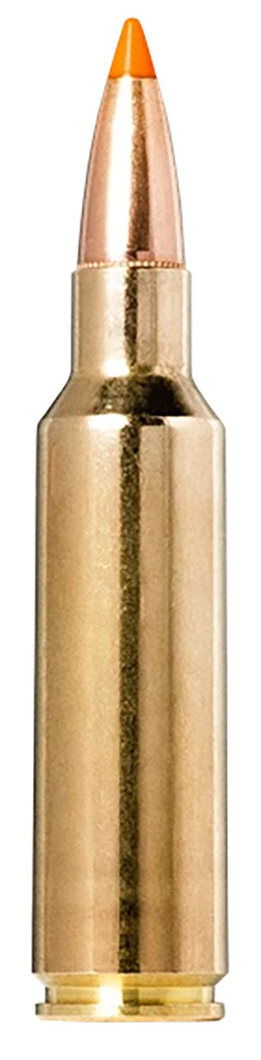 Norma TipStrike .300 WSM 170-grain Polymer Tip rifle ammunition