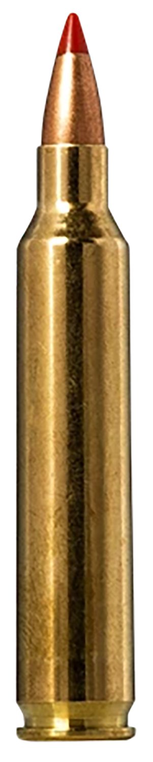 Norma TipStrike .204 Ruger 40-grain polymer tip ammunition