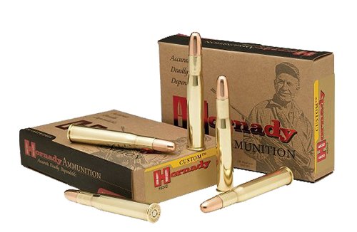Hornady Dangerous Game Solid 450 Nitro Express 480-grain DGS ammunition