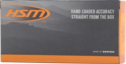 HSM Subsonic 45-70 Government 550-grain Hard Cast Flat Nose ammo