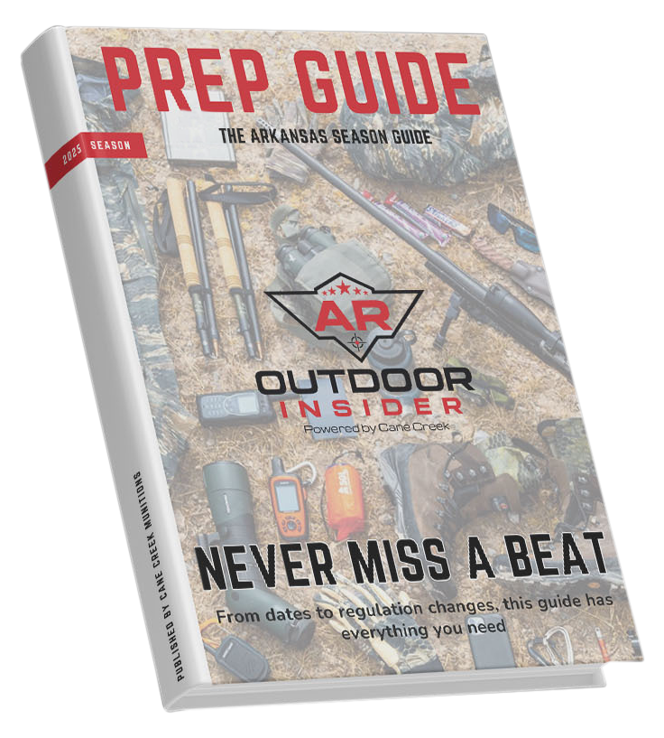 guide