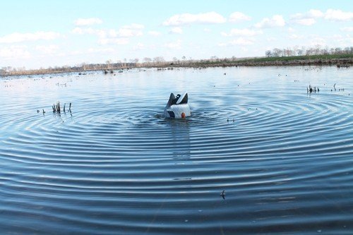 MOJO BUTT UP MALLARD RIPPLER - DECOY - Image 4