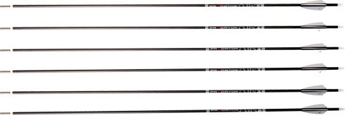 CARBON EXPRESS ARROW PREDATOR - AIR 400 2" Q2i VANES 6PK
