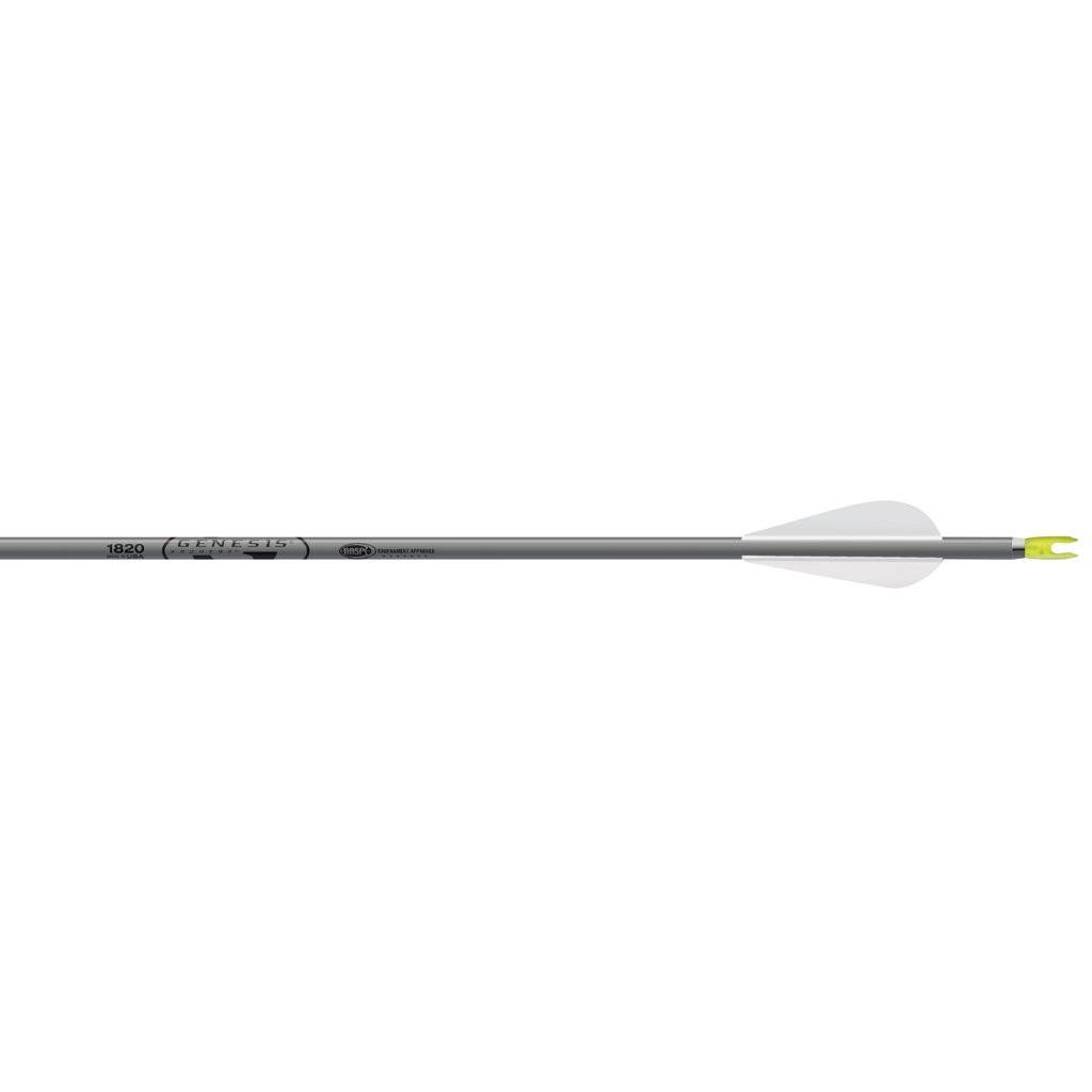 Easton Genesis Arrows 3 in. Vanes Silver 36 pk.