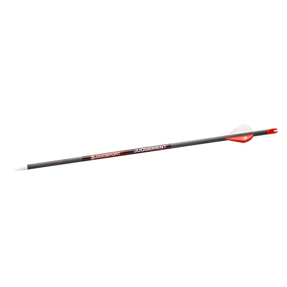 Bloodsport Judgement Arrow 300 Spine 6/pk