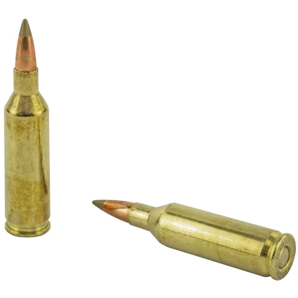 REMINGTON PRA17FB 17 REMINGTON FIREBALL 20GR ACCUTIP-V 20 RD/BX 10 BX/CS - Image 3