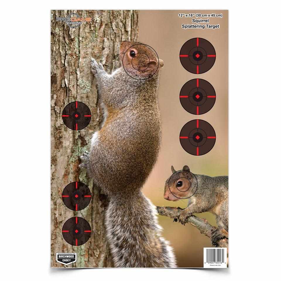 Birchwood Casey Pregame Target - 12"x18" Squirrel 8/ct