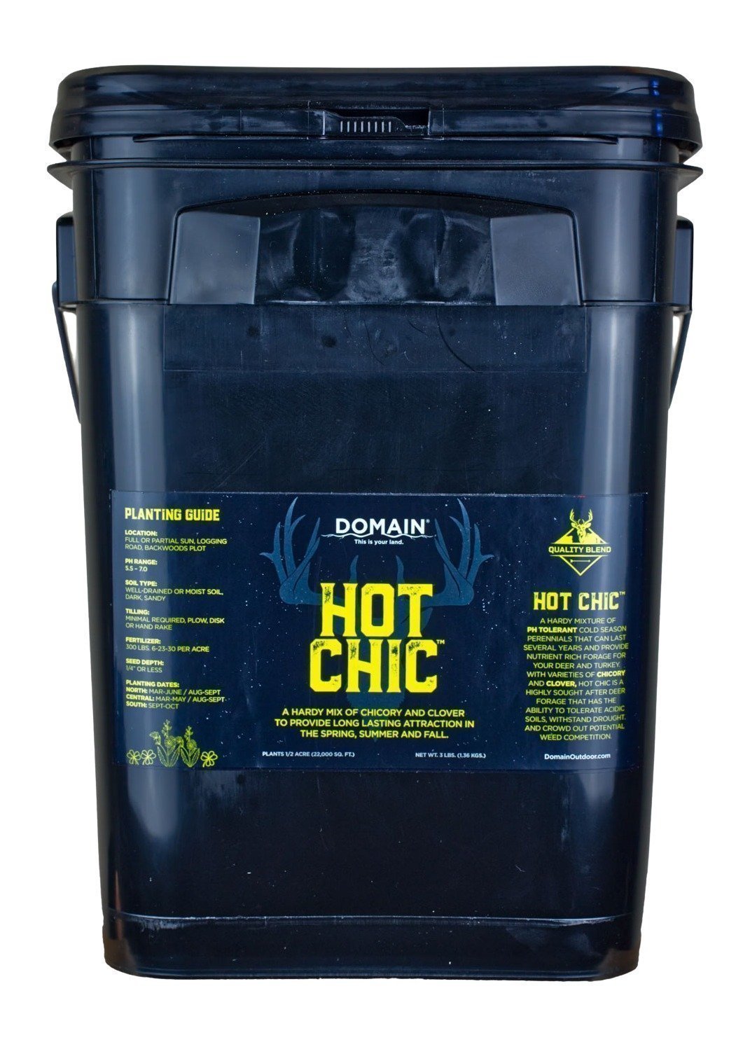 DOMAIN HCFP34      HOT CHIC