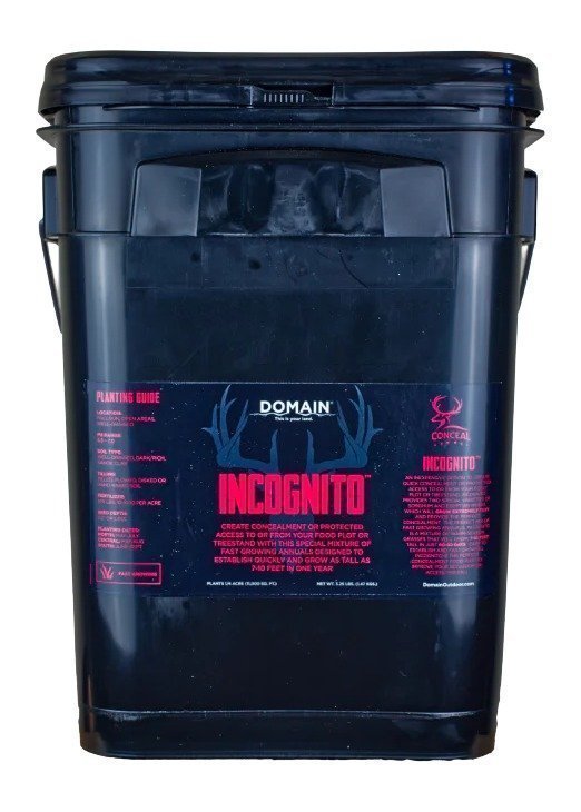 DOMAIN INCFP325    INCOGNITO