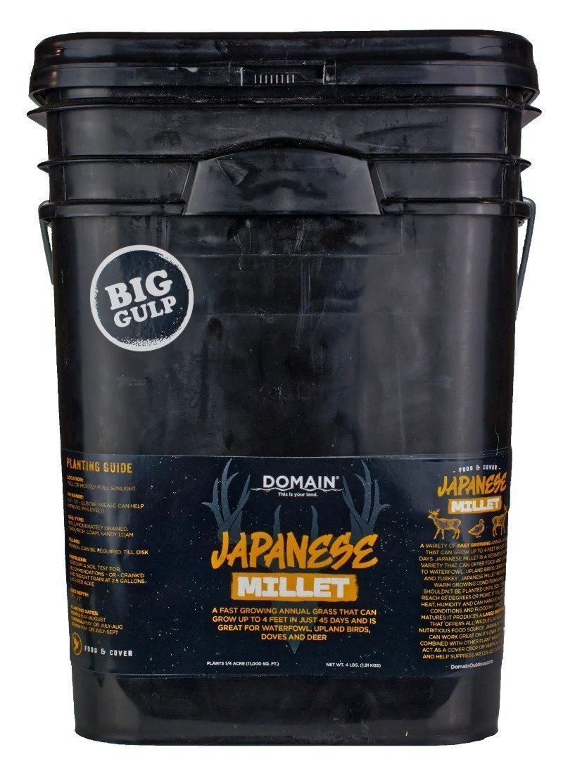DOMAIN DJMS4LB     JAPANESE MILLET