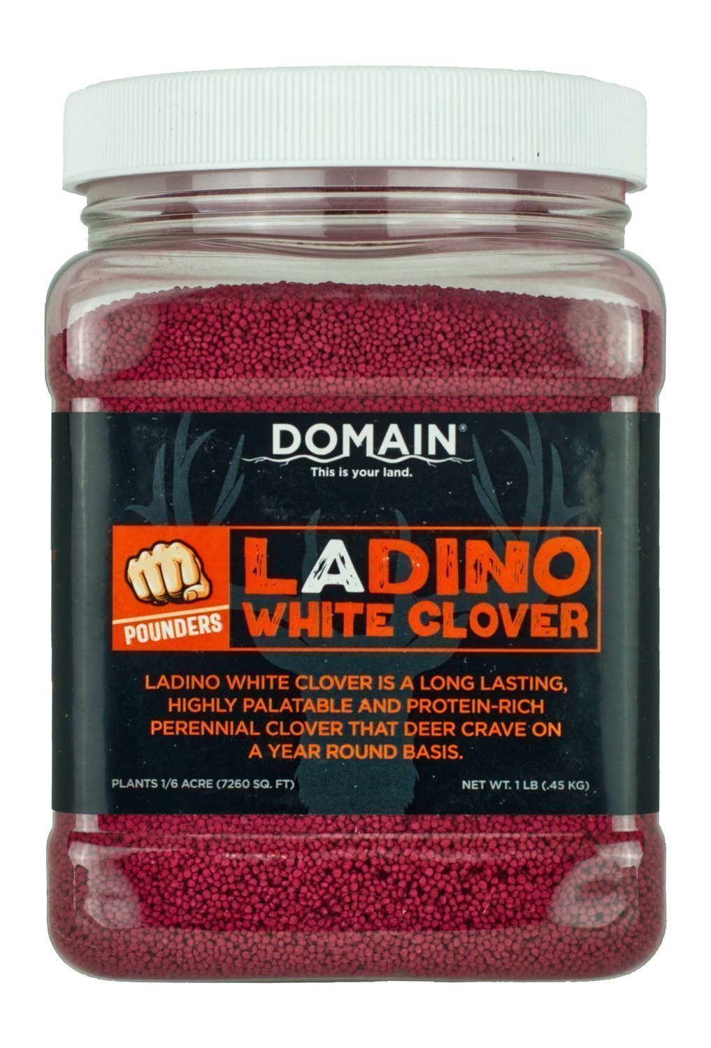 DOMAIN DLWCS1LB    LADINO WHITE CLOVER