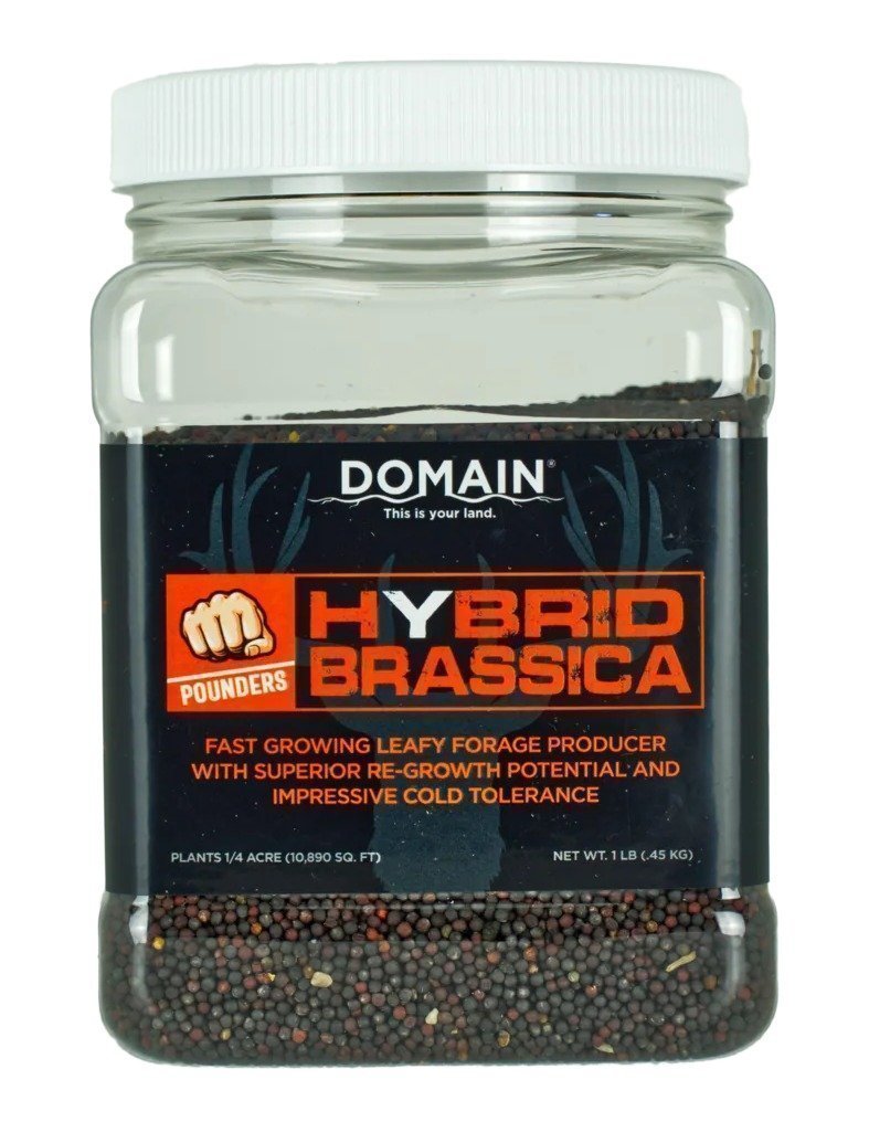 DOMAIN DHBS1LB     POUNDER - HYBRID BRASSICA