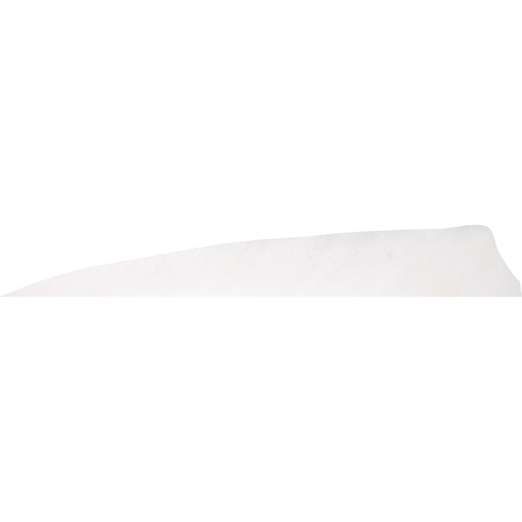 Gateway Shield Cut Feathers Flo White 4 in. LW 50 pk.