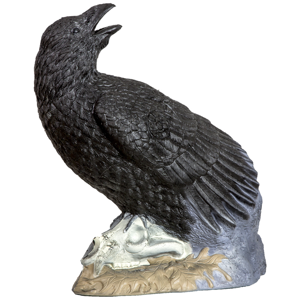 Rinehart Raven Target